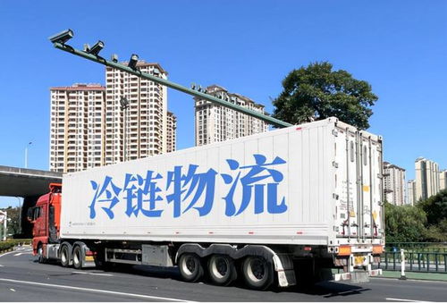 大數(shù)據(jù)背景下農(nóng)產(chǎn)品冷鏈物流模式的缺點(diǎn)分析